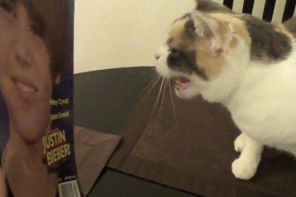 macsek_neon_cikk_lead_fill_424x283.jpg macsek_neon_cikk_lead_fill_424x283.jpg